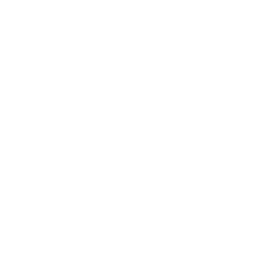 lp-icon-roadmap-right